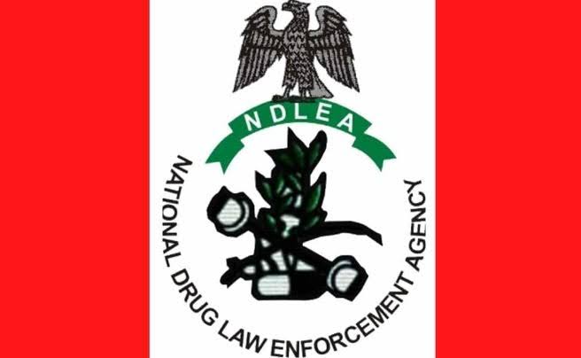 NDLEA salary